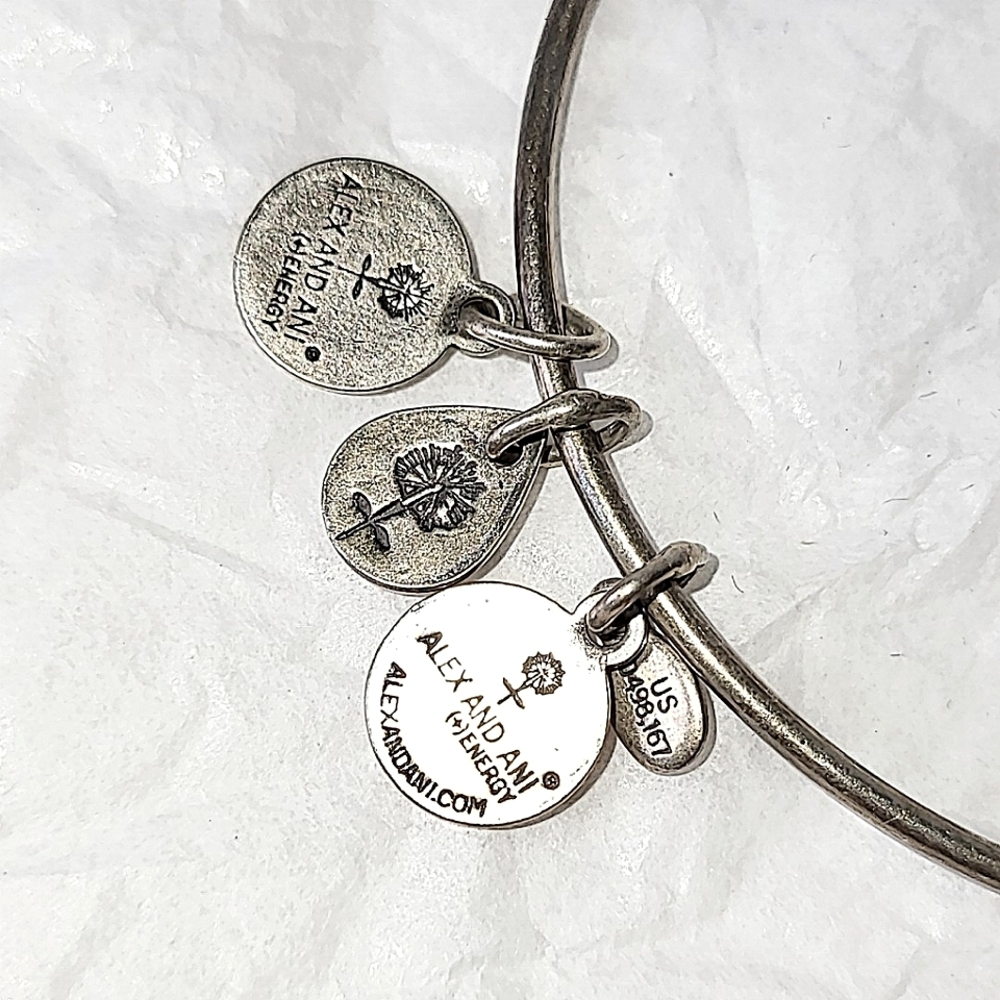 ALEX AND ANI ANCHOR CHARM BANGLE BRACELET - Picture 6 of 7